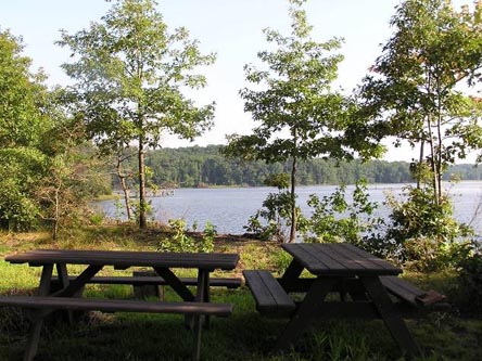 picnic and camp